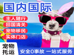 长海航空货运国际宠物托运 【国